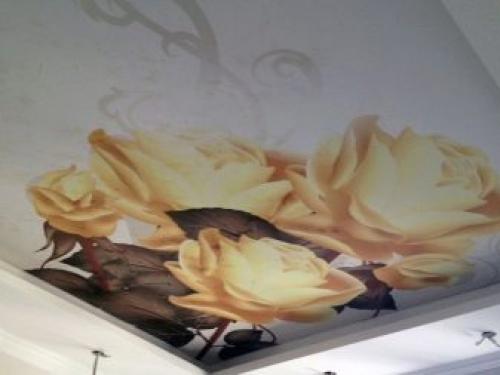 10 Лучших красок для обоев. Чем красят разные основы? 09 10 Лучших красок для обоев. Чем красят разные основы? 09