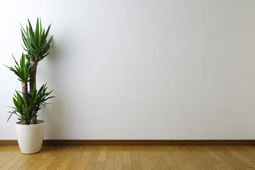 Можно ли клеить обои на краску и как это сделать. Масляная краска и её условия