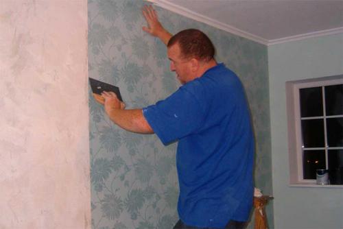 Как подклеить обои после кота. Как частично переклеить обои, испорченные котом или ребенком