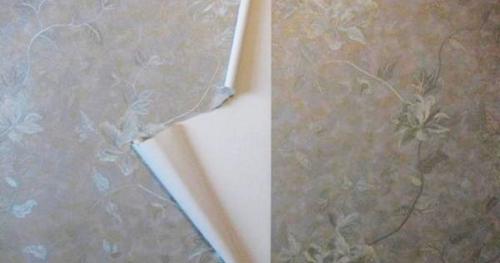 Почему отходят флизелиновые обои. Отклеиваются флизелиновые обои: причины и как исправить