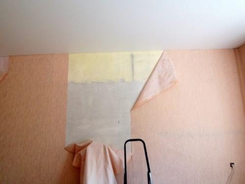Как подклеить обои после кота. Как частично переклеить обои, испорченные котом или ребенком