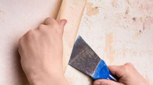 Как снять старые обои без лишних усилий. Как быстро и легко снять старые обои со стен?