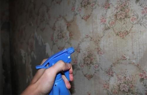 Как быстро снять советские обои. Избавляемся от советских обоев – вода и специальные инструменты