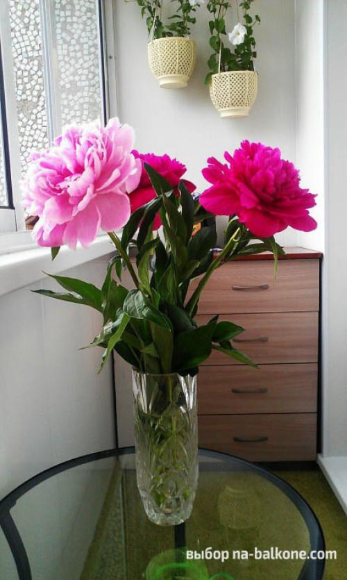 Дизайн лоджии своими руками. 