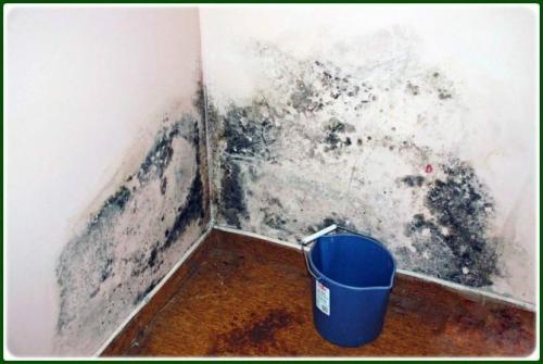 Нужно ли смывать побелку перед поклейкой обоев. Можно ли не смывать побелку перед поклейкой обоев