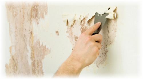 Можно наносить новые жидкие обои на старые.. Старые обои 11