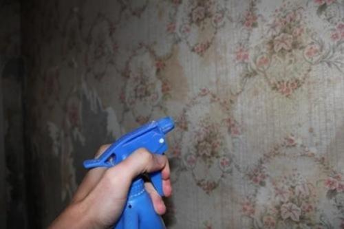 Как снять виниловые обои с гипсокартона. Размачивание поверхности из гипсокартона: инструменты и пошаговая инструкция