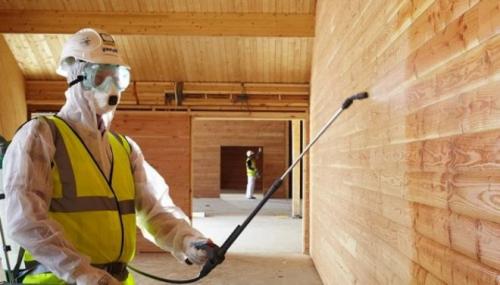 Бюджетная покраска стен. Как дешево, но красиво покрасить стены