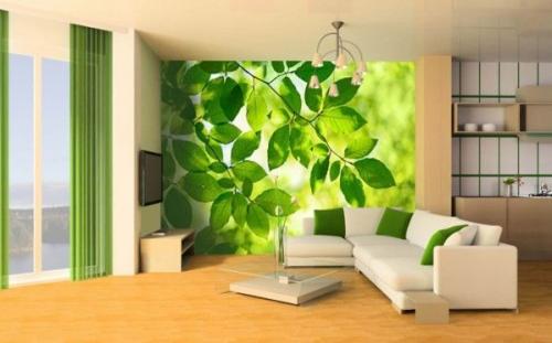 Когда можно клеить обои. Виды обоев