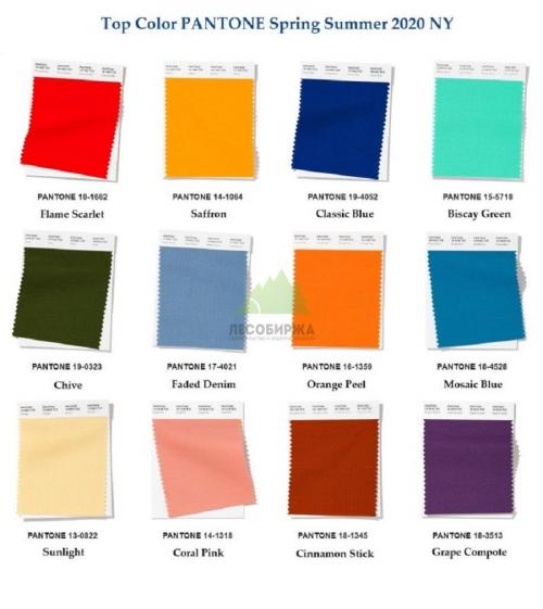 В какой цвет покрасить загородный дом. Базовые правила сочетания цветов 26