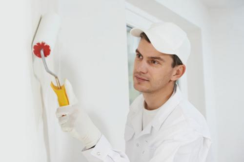 Какой краской красить стены на кухне. Как идеально покрасить стены на кухне?