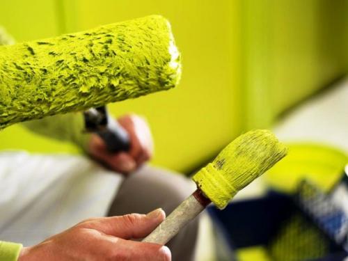 Какую краску выбрать для стен кухни. Преимущества краски для оформления стен кухни