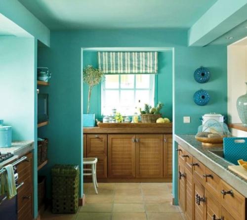 Какую краску выбрать для стен кухни. Преимущества краски для оформления стен кухни