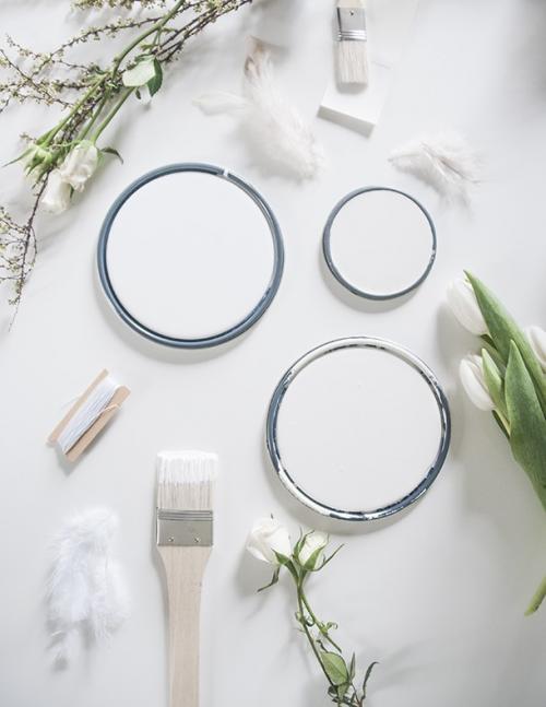 Оттенки белой краски. Белая краска: обзор критериев качества и лучших современных производителей (85 фото)