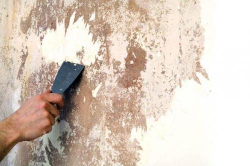 Можно ли клеить обои на окрашенные стены водоэмульсионкой. Разновидности обоев