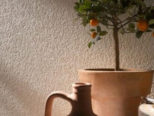 Можно ли красить обои не под покраску и чем. Какие можно покрасить? 10 Можно ли красить обои не под покраску и чем. Какие можно покрасить? 10