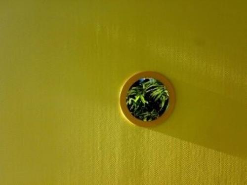 Можно ли красить обои не под покраску и чем. Какие можно покрасить? 23 Можно ли красить обои не под покраску и чем. Какие можно покрасить? 23