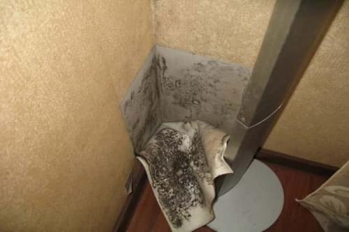 Обработка стен после снятия обоев. Критерии пригодности поверхностей к оклеиванию обоями