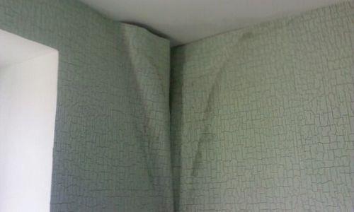 Как покрасить флизелиновые обои не под покраску. Какую краску выбрать 03