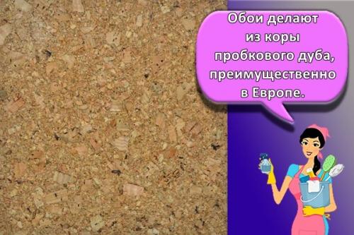 Антивандальный лак для обоев. Обои