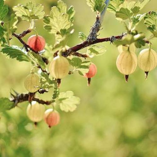 Как поклеить обои самому быстро и качественно. Материалы и инструменты 15 Как поклеить обои самому быстро и качественно. Материалы и инструменты 15