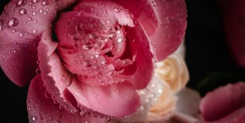 Трендовые цвета 2022 дизайн. Цветовые тренды 2022 года: Shutterstock