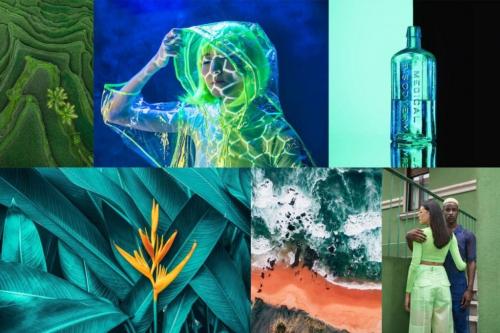 Трендовые цвета 2022 дизайн. Цветовые тренды 2022 года: Shutterstock