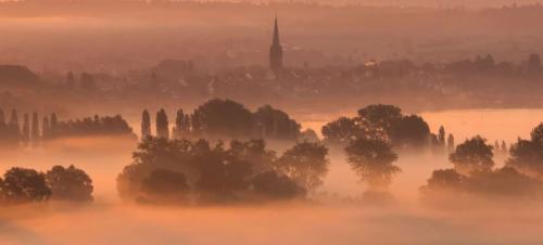 Трендовые цвета 2022 дизайн. Цветовые тренды 2022 года: Shutterstock