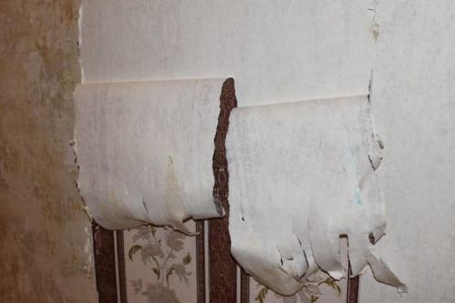 Как отклеить флизелиновые обои от стены. Инструкция: как отклеить флизелиновые обои 06