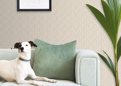 Как быстро снять флизелиновые обои. Как снять флизелиновые обои с бетонных стен