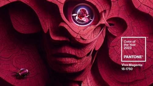 Природные элементы и модные цвета. Как работать с природной палитрой в интерьере: 7 советов дизайнера 16 Природные элементы и модные цвета. Как работать с природной палитрой в интерьере: 7 советов дизайнера 16