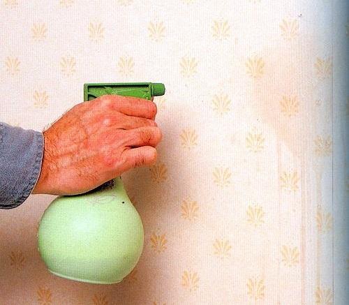 Как снять флизелиновые обои с гипсокартона. Размачивание поверхности из гипсокартона: инструменты и пошаговая инструкция